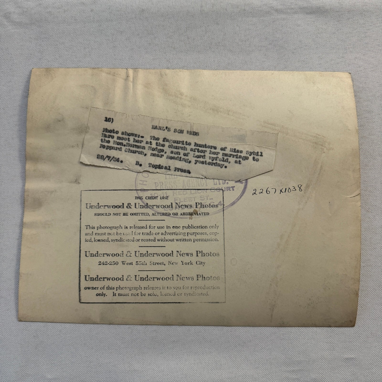 1934 Wedding Press Photo Photograph Horses British Nobles