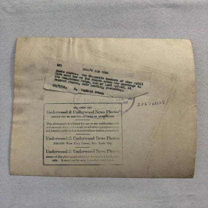 1934 Wedding Press Photo Photograph Horses British Nobles