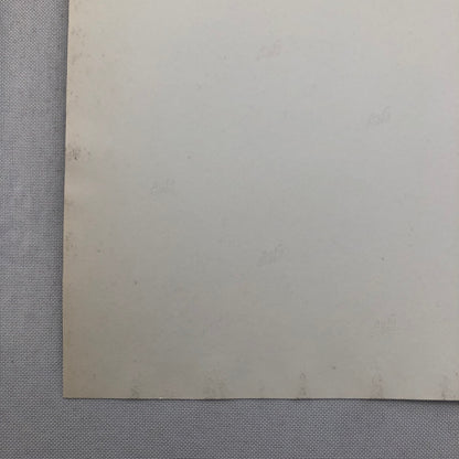 Susan Hayward Van Heflin Actress Actor Movie Still Photo Photograph Tap Roots