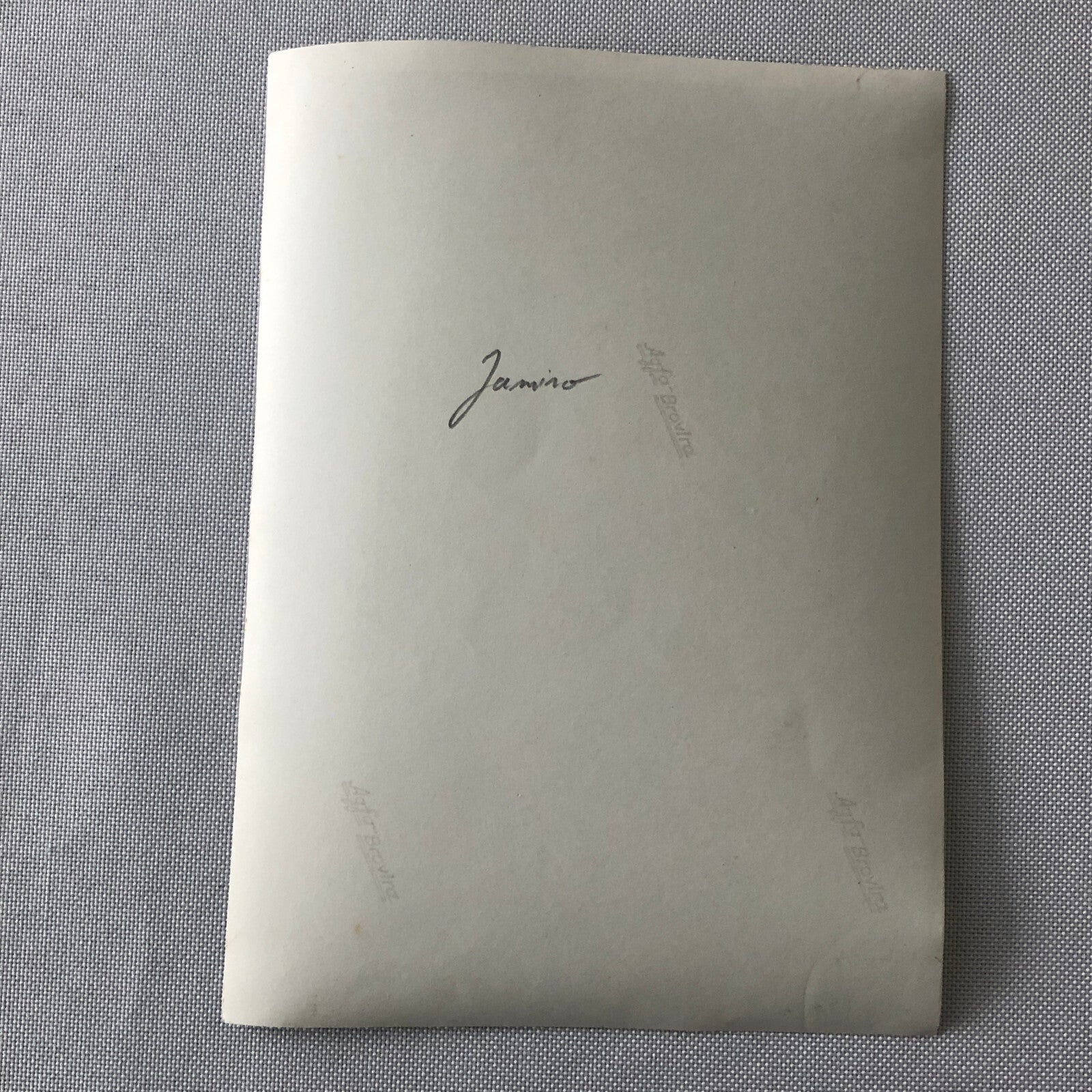 Circus Performer Women Unicycle Balancing Act Photo Photograph Original Jamino