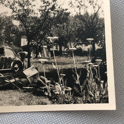 Vintage Photo Photograph Snapshot Man with VW Volkswagen Beetle Bug Car