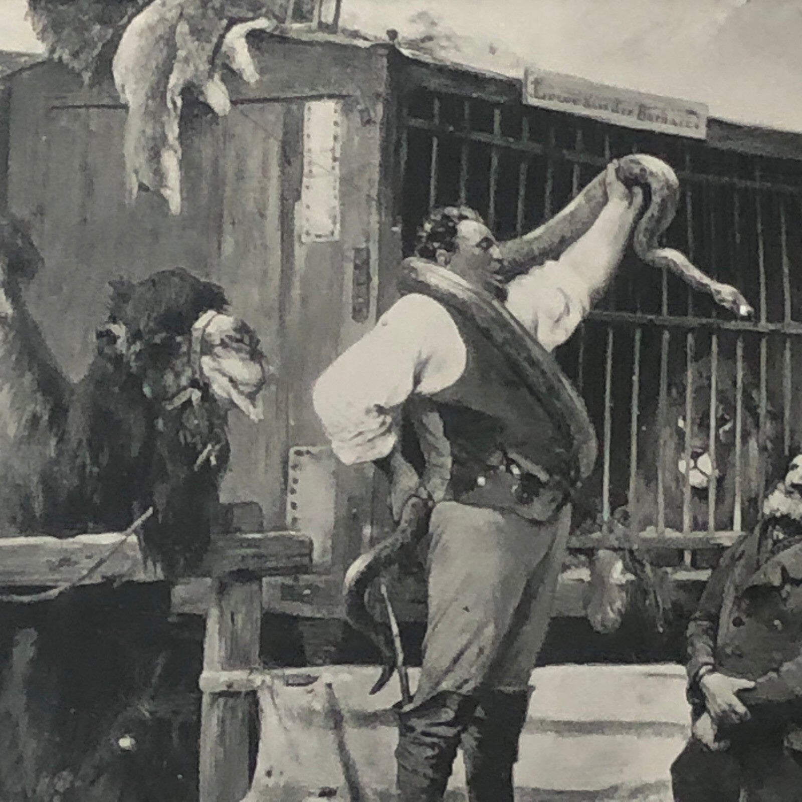 Circus Painting Vintage Photo Photograph Snake Camel Birds Animal Act