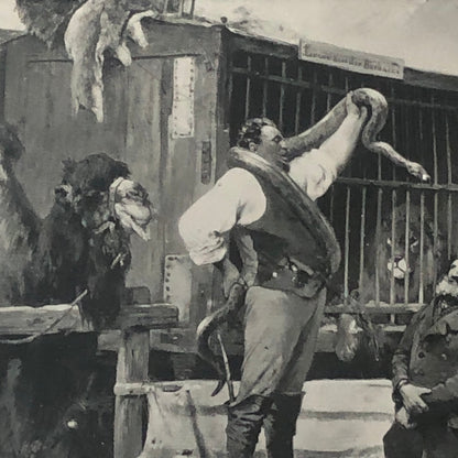 Circus Painting Vintage Photo Photograph Snake Camel Birds Animal Act