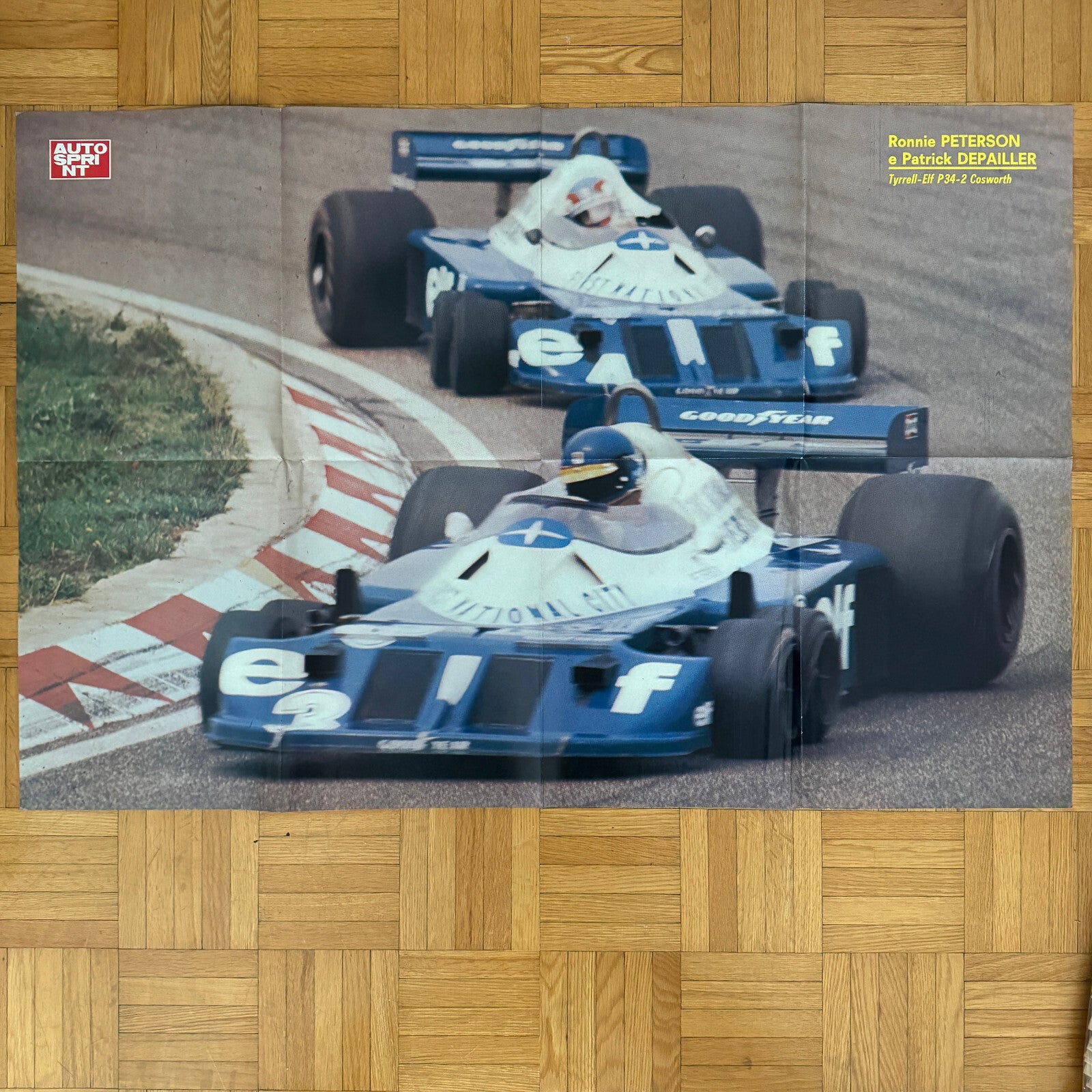 Ronnie Peterson Patrick Depailler Tyrrell ELF Cosworth Racing Car Poster