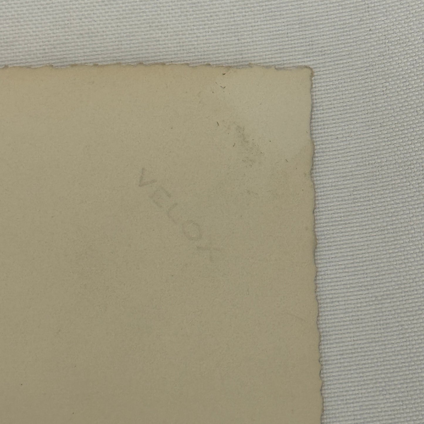 Vintage Truck Photo Photograph Print Snapshot