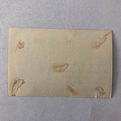 Circus Performer Clown on Bicycle Motorcycle Bike Real Photo Postcard RPPC