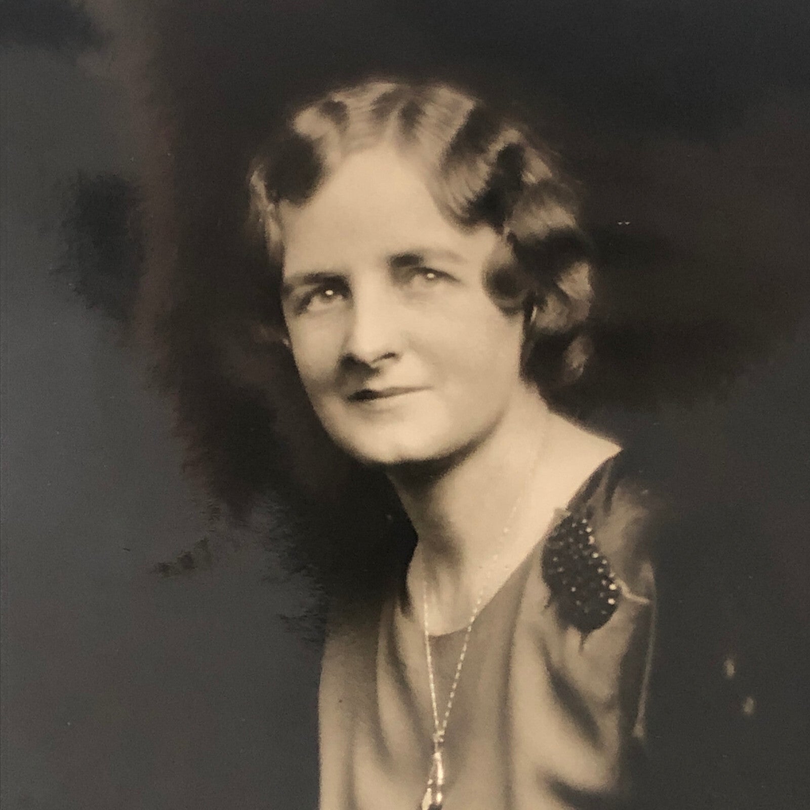 Press Photo Photograph Society Woman Mrs Seth W Richardson Attorney General 1933