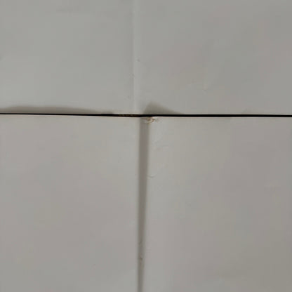 Star Wars Episode IV A New Hope EGYPTIAN Re-Release Movie Poster 2010s Authentic