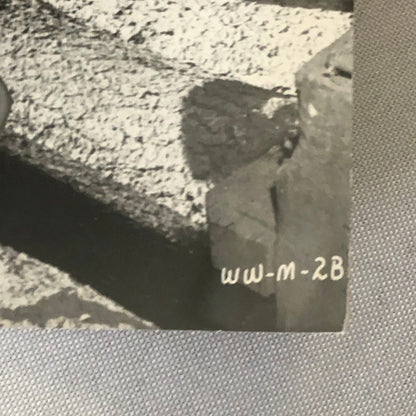 Vintage Movie Press Photo Photograph Print Sally Fields +