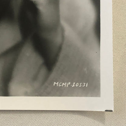 Greta Garbo Movie Film Actress Photo Photograph