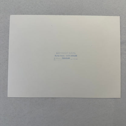 Vintage Rally Racing Photo Photograph Print DPPI Fiat 127 Cars