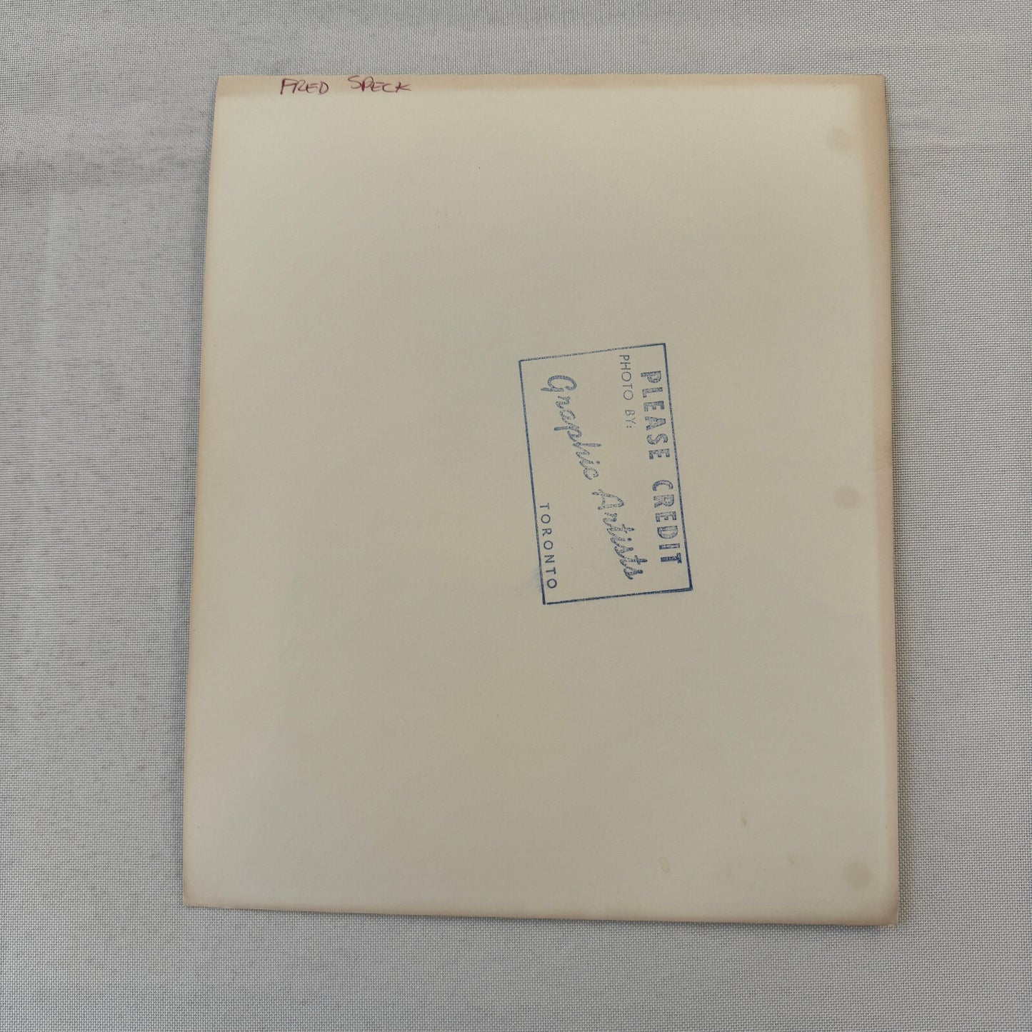 Vintage Hockey Photo Fred Speck Detroit Red Wings Player Photograph