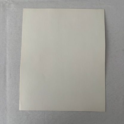 Susan Hayward Movie Still Photo Photograph Vintage Image Modern Print