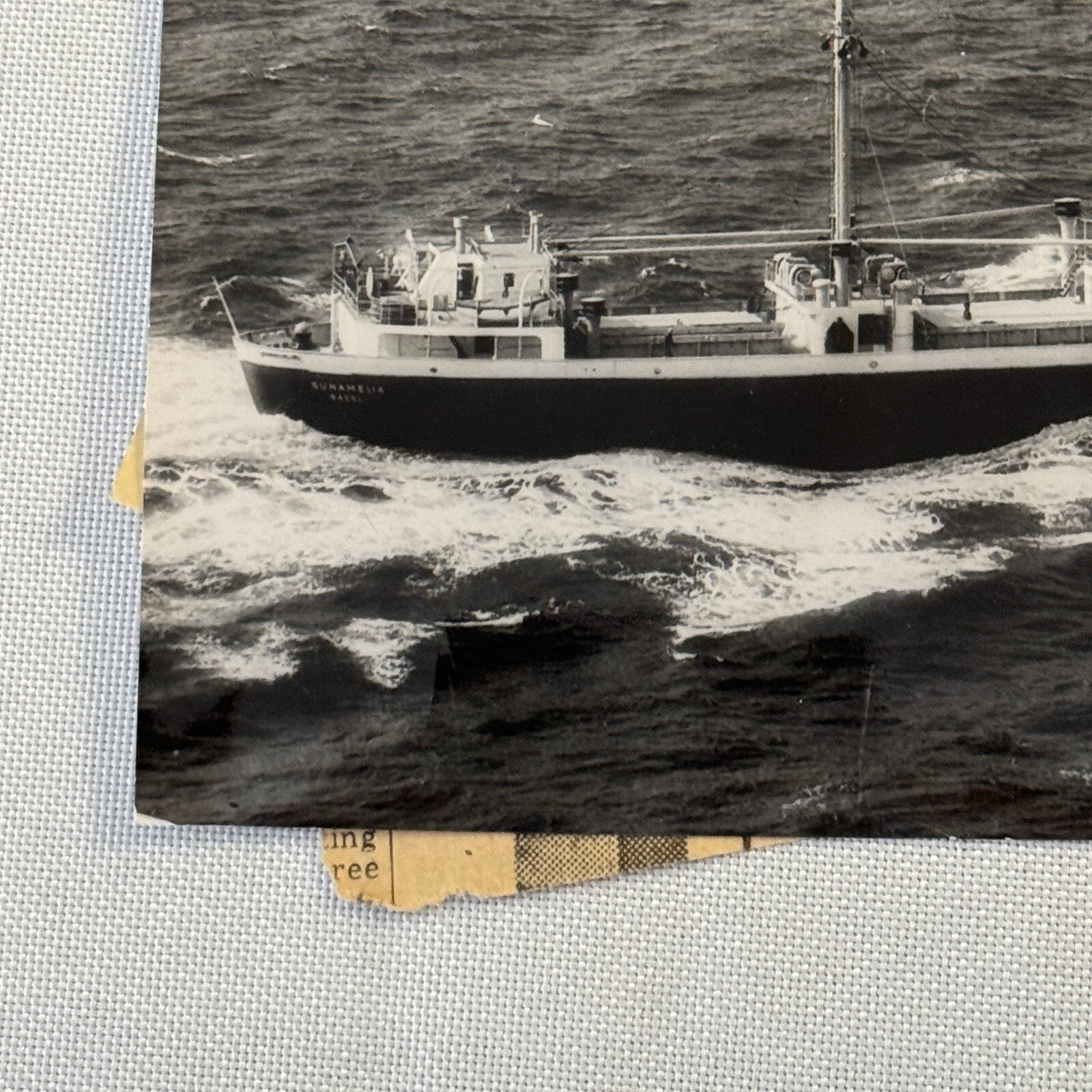 Vintage Ship Boat Photo Photograph Print MV Sunamelia 1954