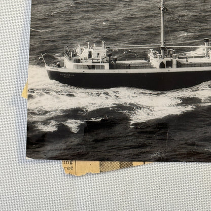 Vintage Ship Boat Photo Photograph Print MV Sunamelia 1954