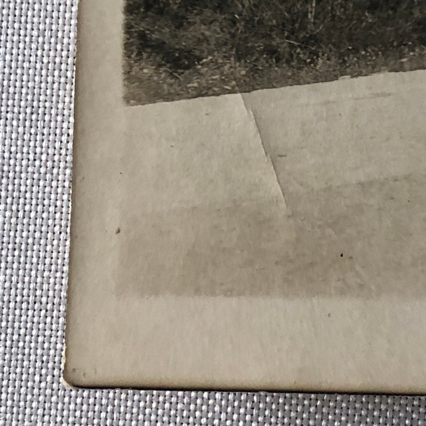 Vintage Racing Photo Photograph Print - Alfa Romeo Branger Photo Paris