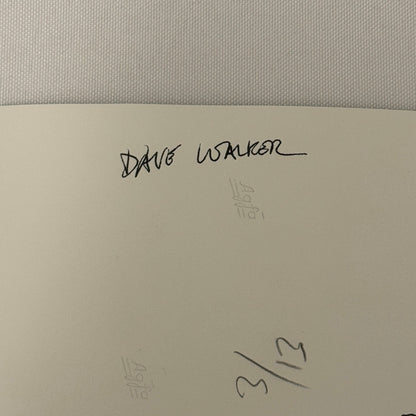 Vintage Racing Photo 1971 Hockenheim Race Dave Walker Motorsport Photograph