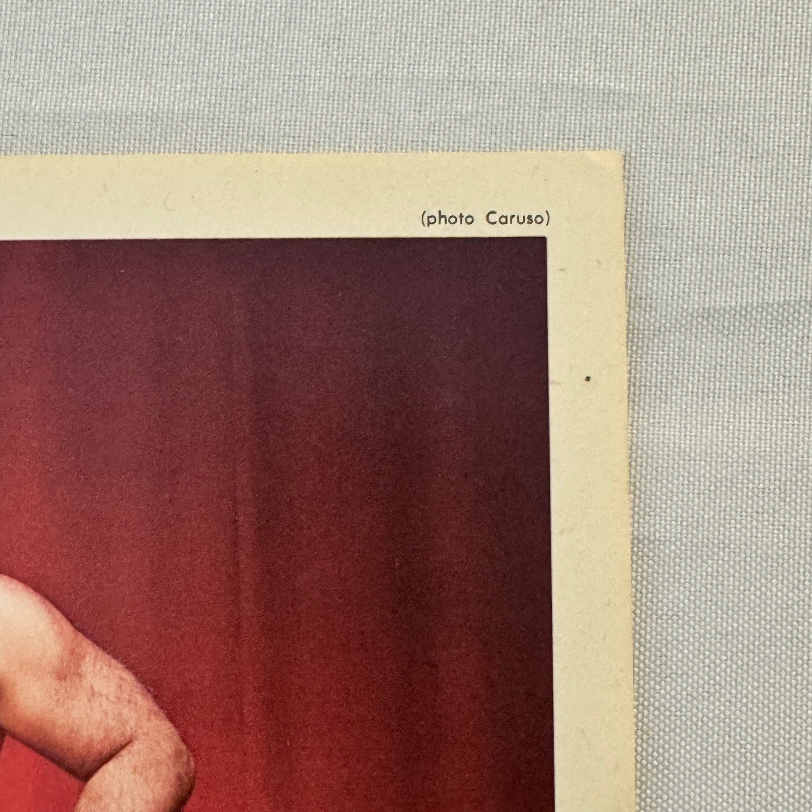 Vintage Wrestling Print Insert Maurice Mad Dog Vachon 1973