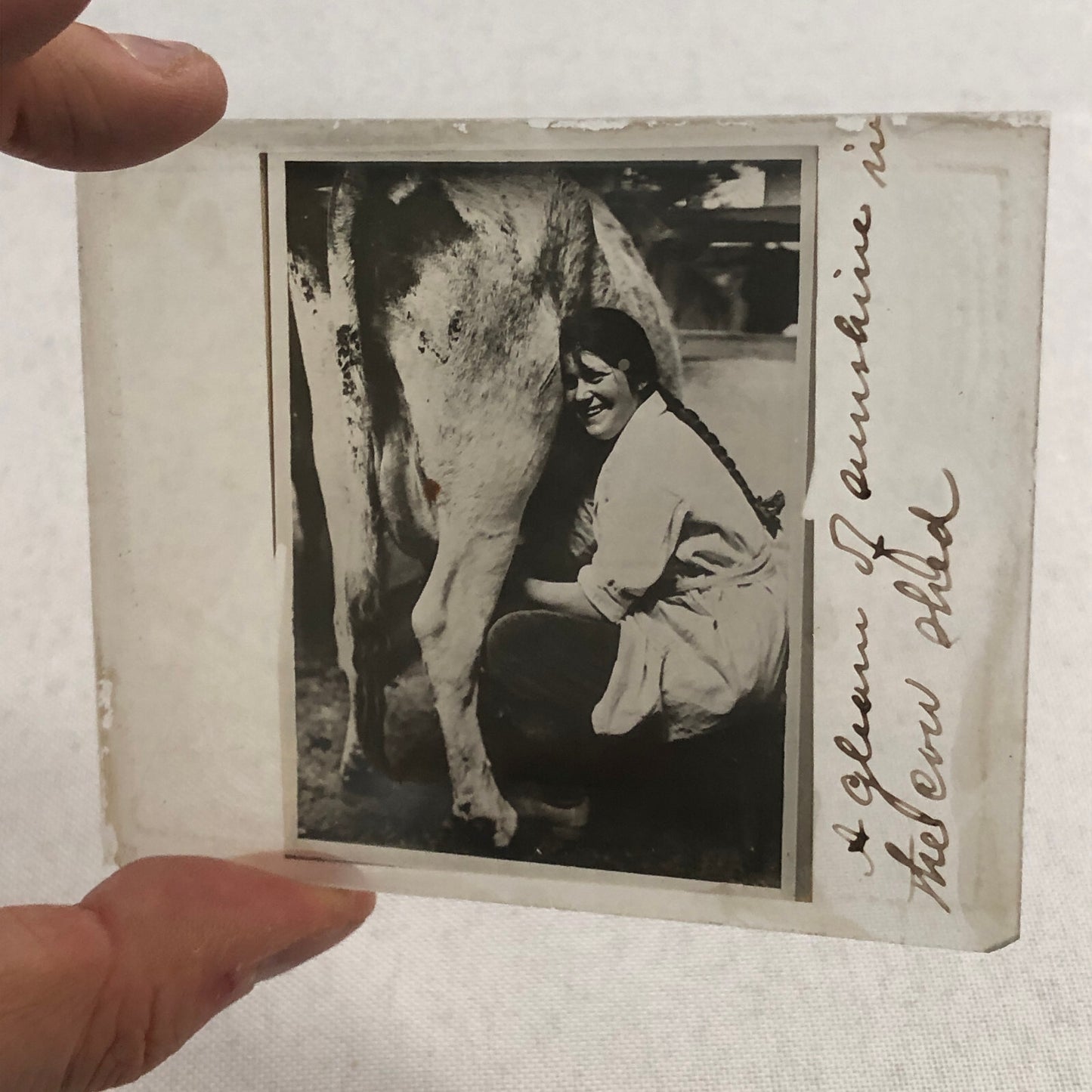 Antique Glass Plate Photo Slide Positive Woman Milking Cow Farm Barn