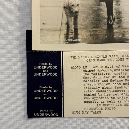1933 Press Photo Photograph Daughter of Belgian Ambassador Walking Dog in Rain