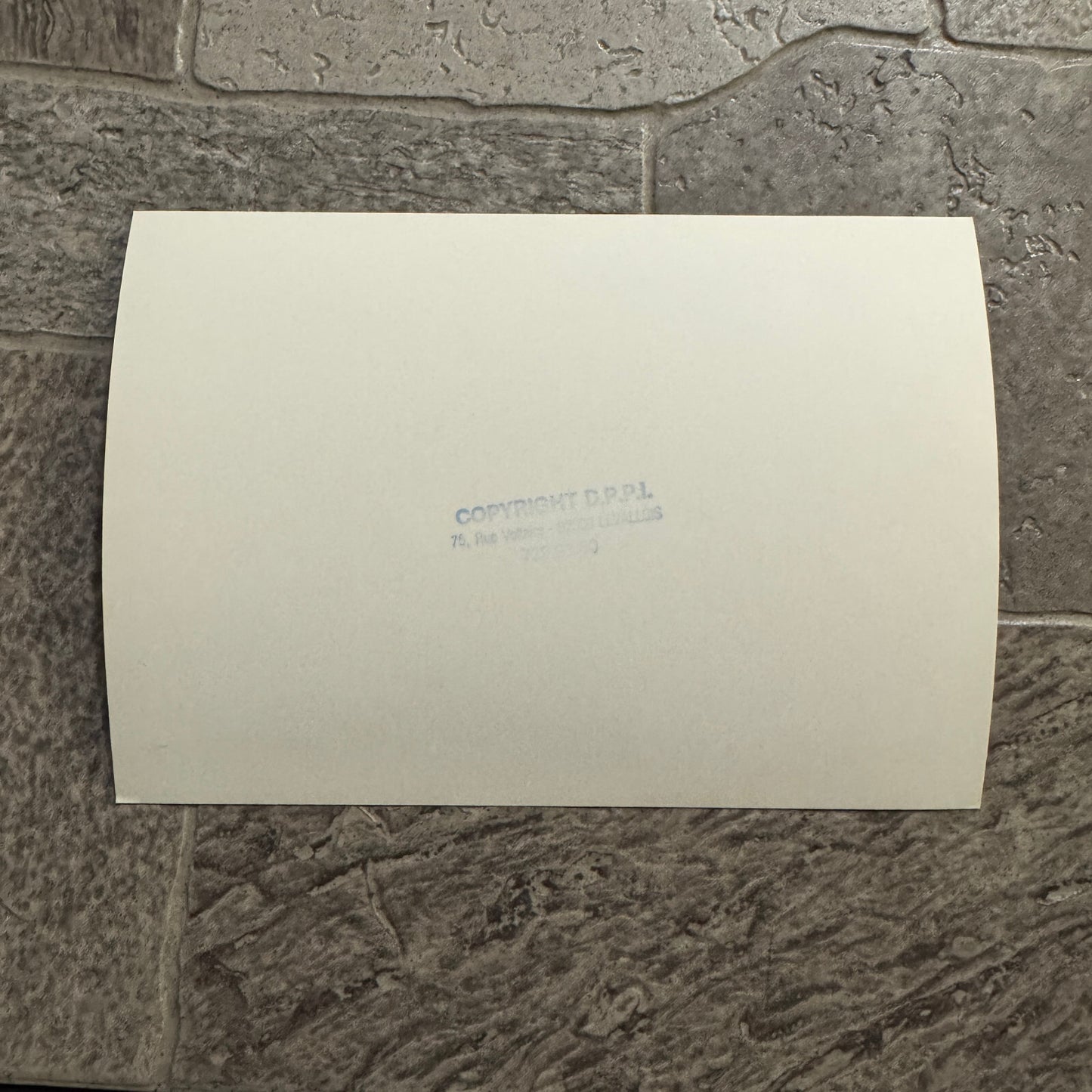 1980 RAC Rally Rallye Driver Racing Photo Photograph