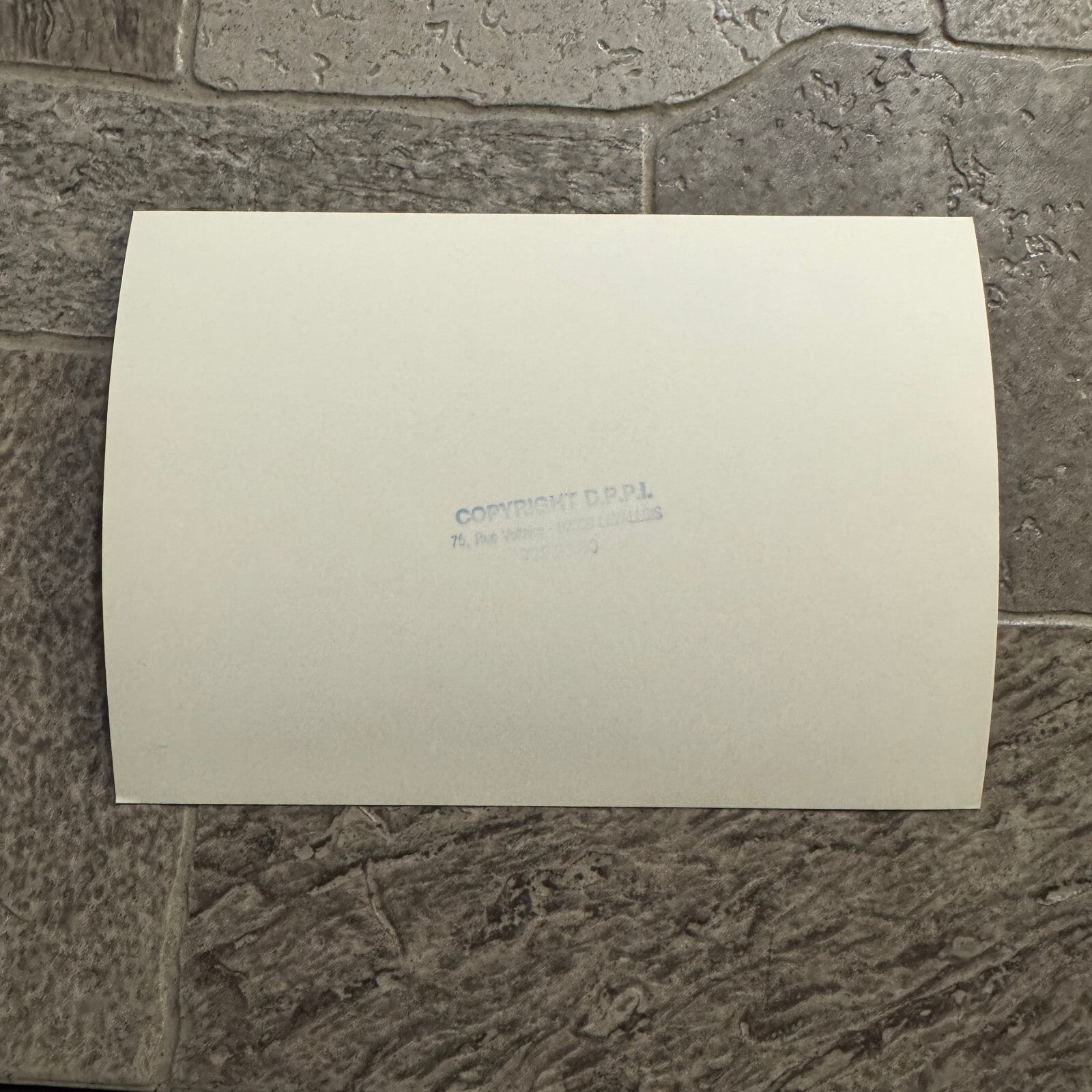 1980 RAC Rally Rallye Driver Racing Photo Photograph