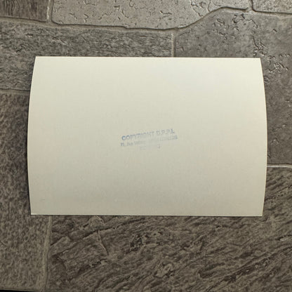 1980 RAC Rally Rallye Driver Racing Photo Photograph