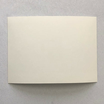 1995 Porsche 911 Carrera Factory Press Photo Photograph Print 