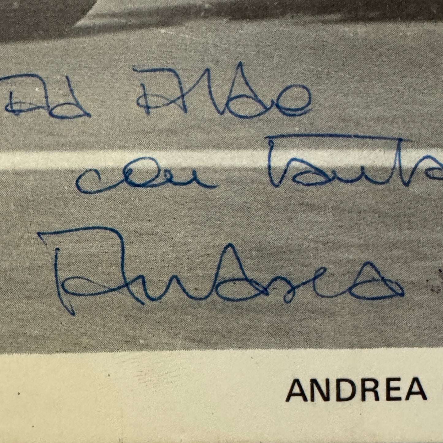 Andrea de Adamich Racing Driver Photo Photograph Surtees Signed Autograph