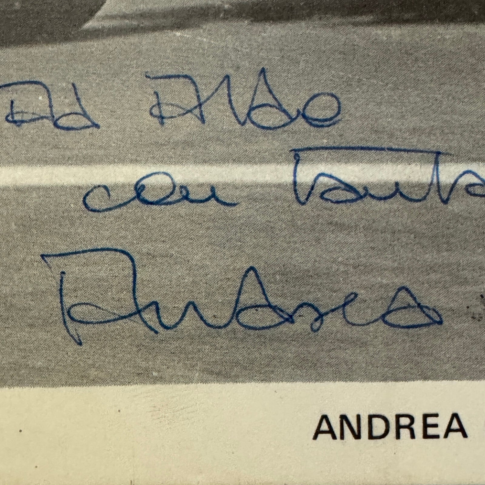 Andrea de Adamich Racing Driver Photo Photograph Surtees Signed Autograph