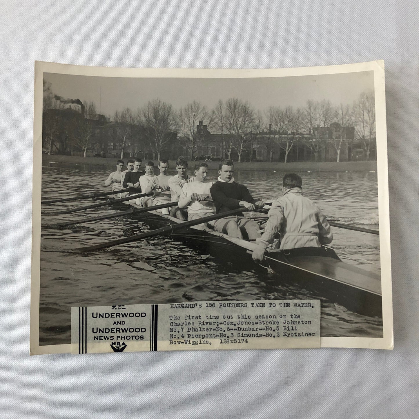 Press Photo Photograph Harvard Rowing Team Underwood and Underwood