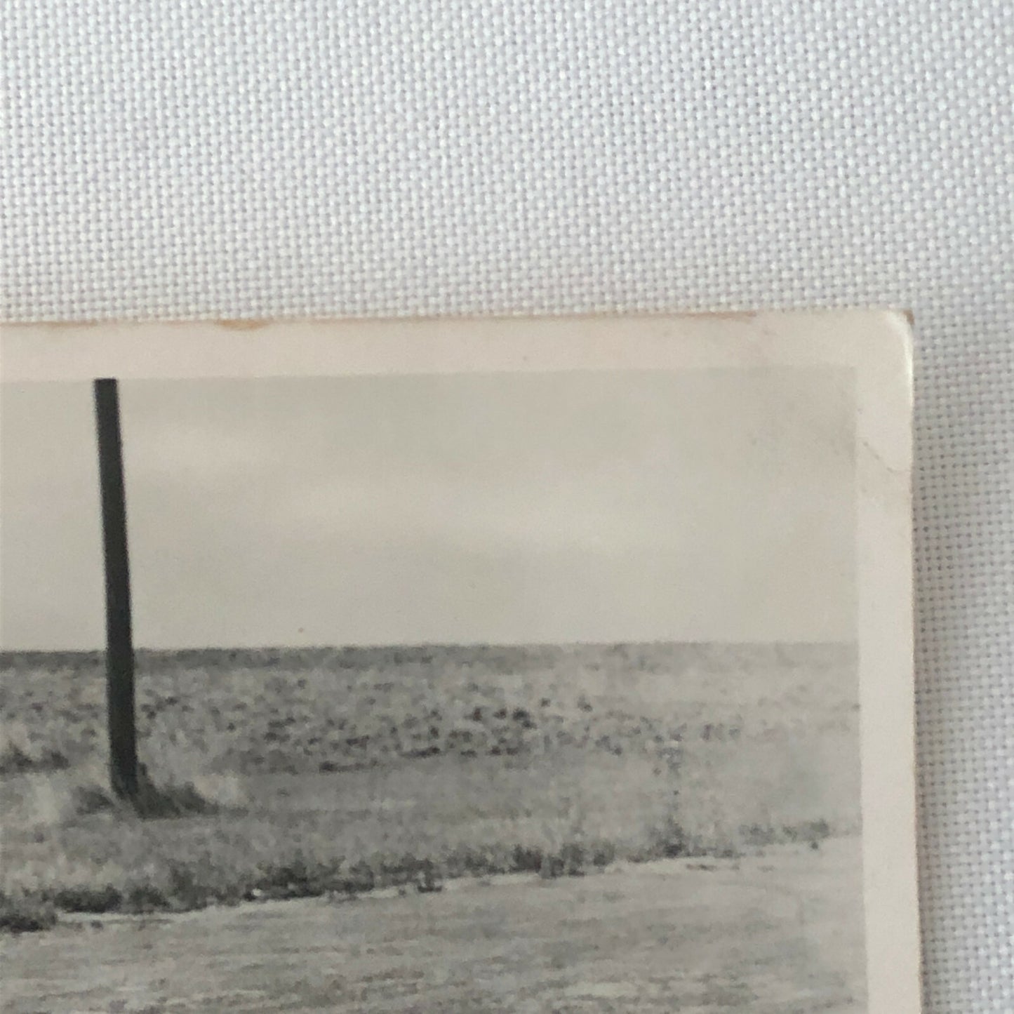 Vintage Racing Car Photograph Photo Print - BRM Car ? 