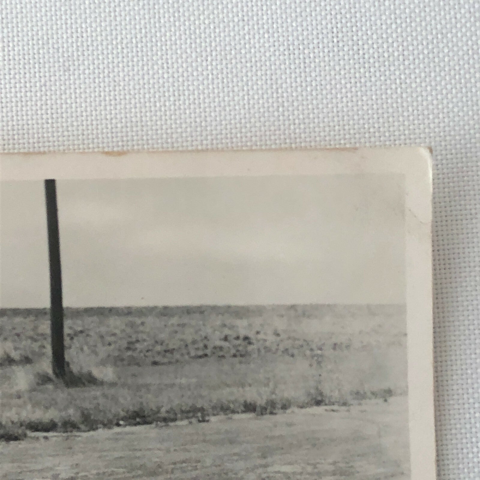 Vintage Racing Car Photograph Photo Print - BRM Car ? 