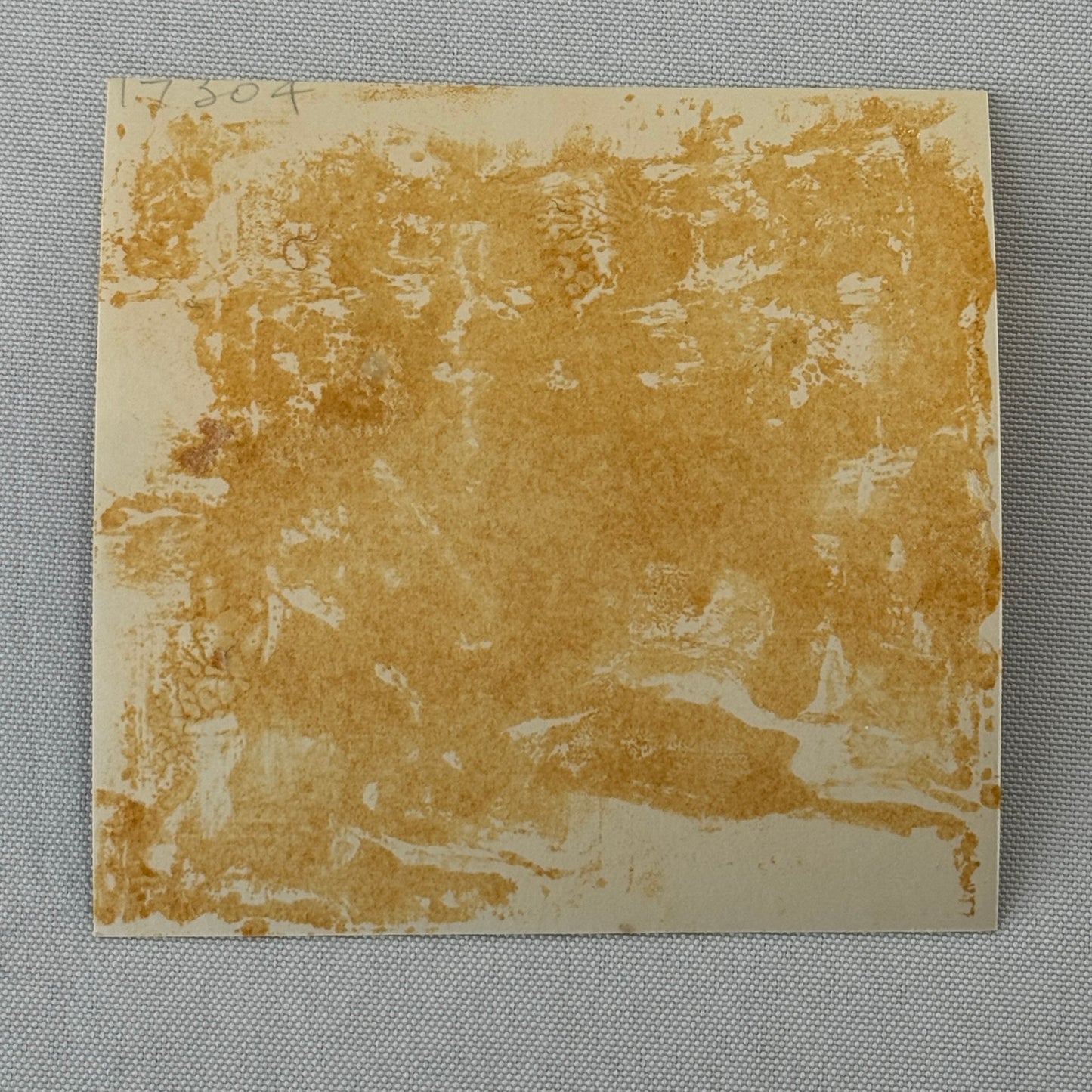 Vintage Lotus Eleven Racing Photo Photograph Print Motorsport