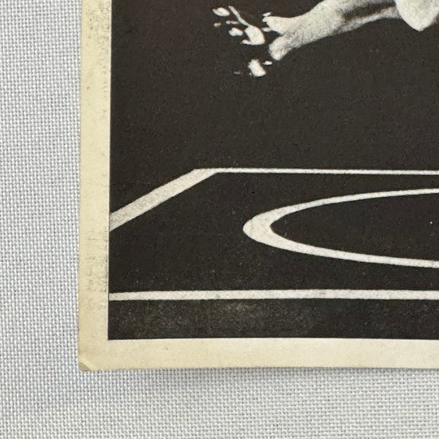 Circus Rollerskating Roller Skate Circus Act Flyer Advertising 2 Donalds