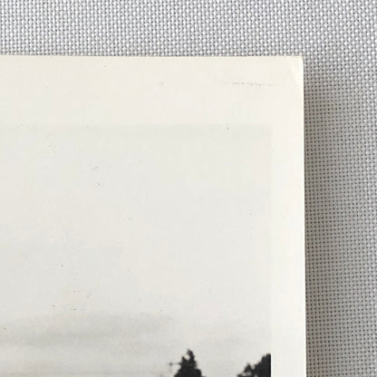 Renault Alpine Car Automobile Photo Photograph Print 
