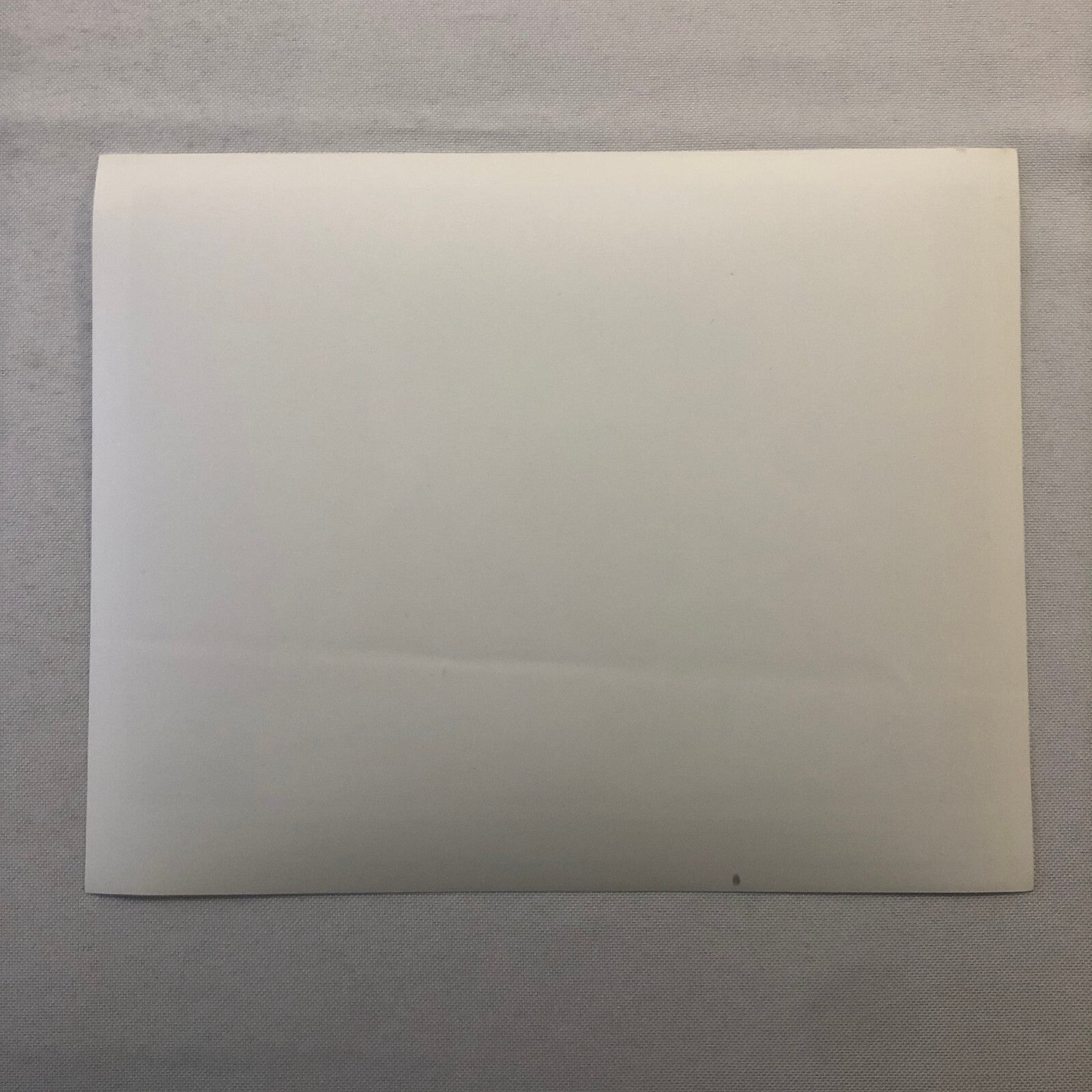 Bambi Flower Thumper Movie Film Re-Release Press Photo Photograph Walt Disney