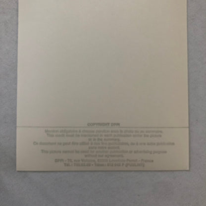 1987 Grand Prix Formula One F1 Racing Photo Lot of 15 Brazil Spain Spanish