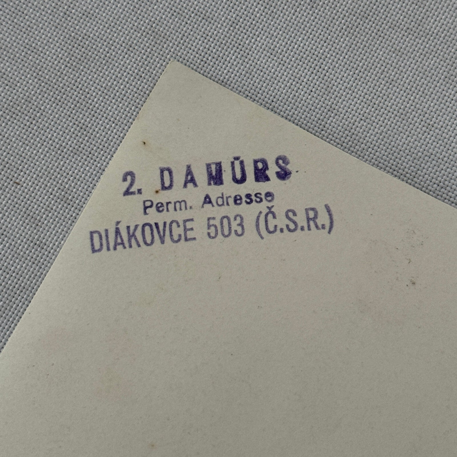Vintage Circus Photo Damurs Performer Budapest Hungary Foto Holzel Photograph