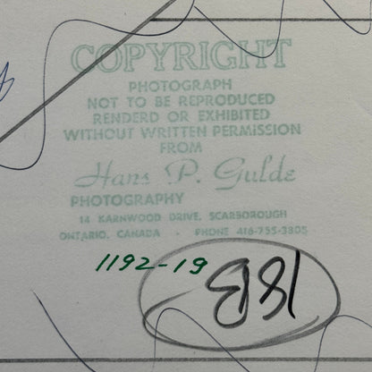 Vintage Car Racing Photo David Loring Race Driver Press Photograph Print