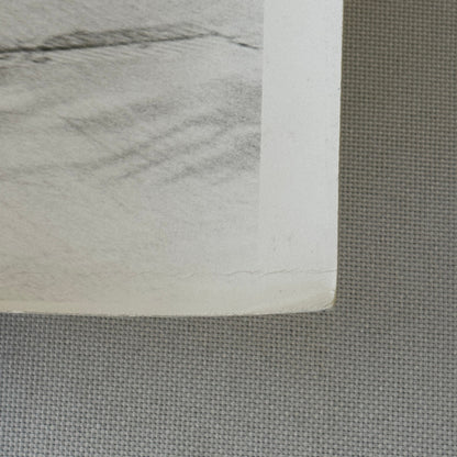 1969 Monaco Grand Prix Racing Photo Jack Brabham BT26 Car Vintage Photograph