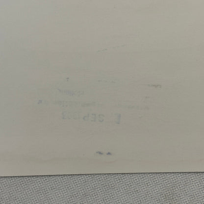 1994 Porsche 911 Carrera Factory Press Photo Photograph German