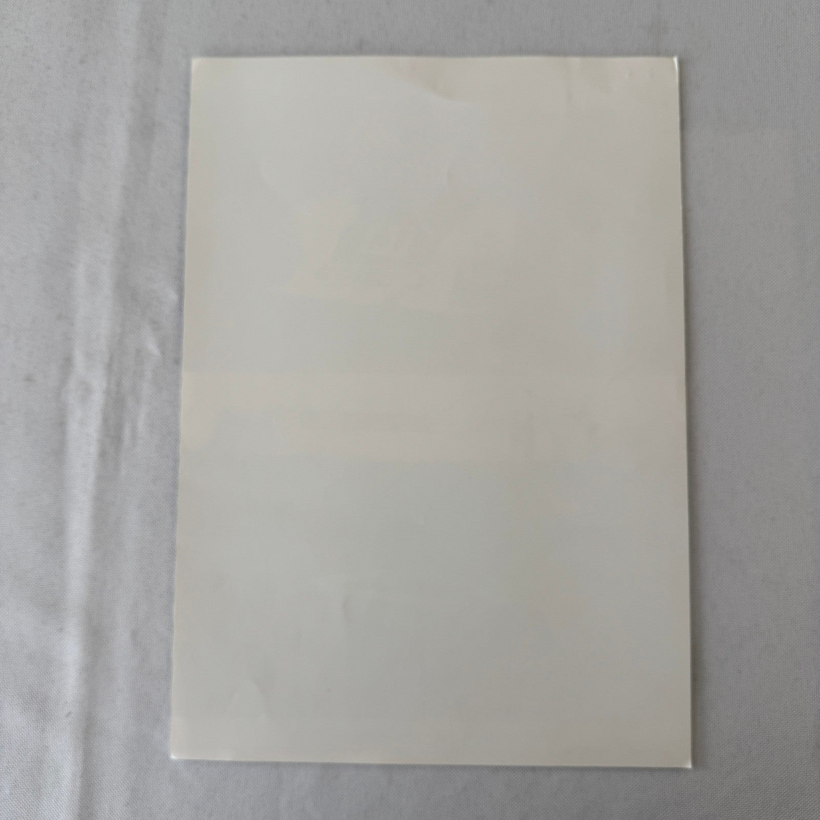 Canon Racing Porsche 956 Car Photo Photograph Jan Lammers Thierry Boutsen 1983