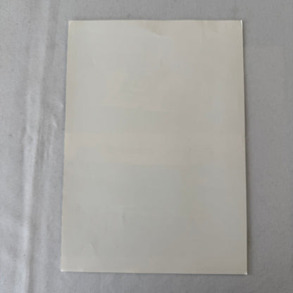 Canon Racing Porsche 956 Car Photo Photograph Jan Lammers Thierry Boutsen 1983