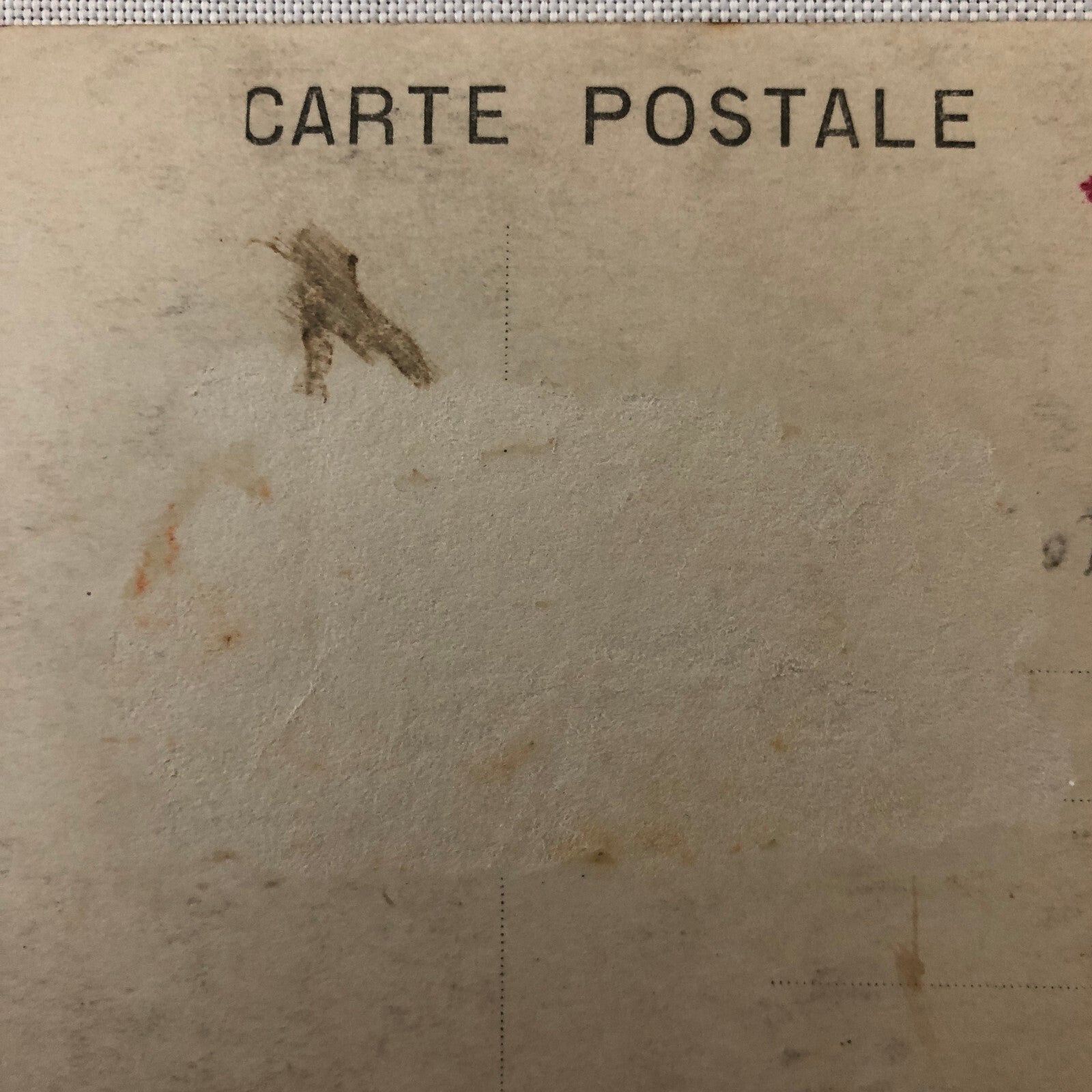 Circus Performer Real Photo Postcard Post Card RPPC Vintage French