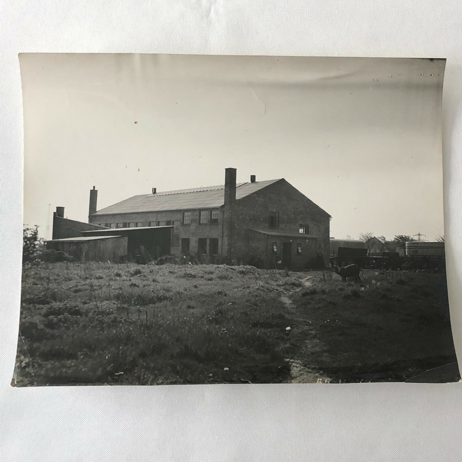 Antique Vintage Factory Company Photo Photograph Lot of 5 ERGO Trailer Denmark 