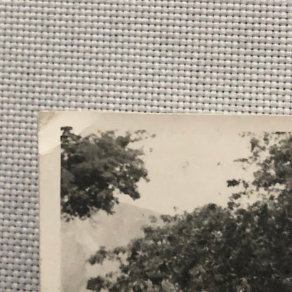 Vintage Photo Photograph Yonge Men and Women Picnic with Car - Tag AL22SM2