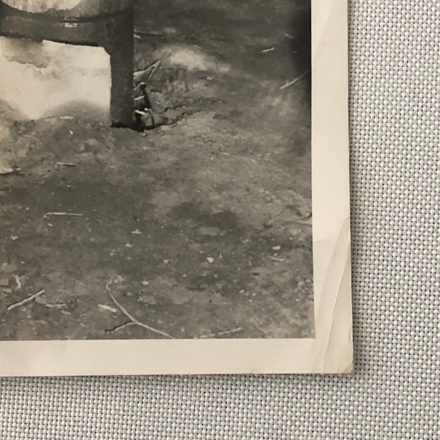 Vintage Press Photo Photograph Print Man Locating Oil using Baguette Toronto