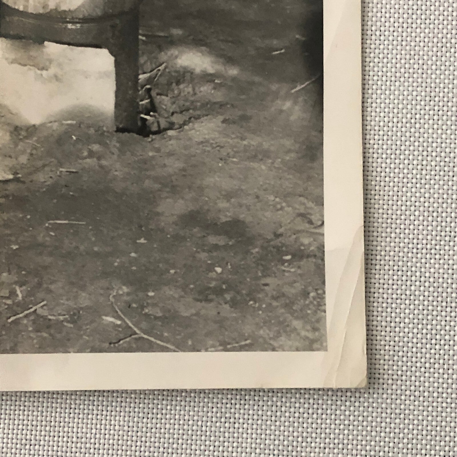 Vintage Press Photo Photograph Print Man Locating Oil using Baguette Toronto
