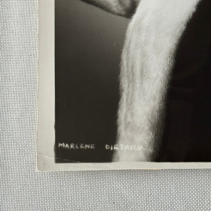 Marlene Dietrich Movie Still Photo Photograph Vintage Image Modern Print
